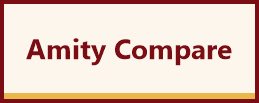 Amity University Online official logo with AMITY UNIVERSITY wordmark for distance education